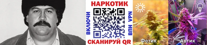 Купить Инсар Марихуана  АМФ  ГАШИШ  Мефедрон  Cocaine 