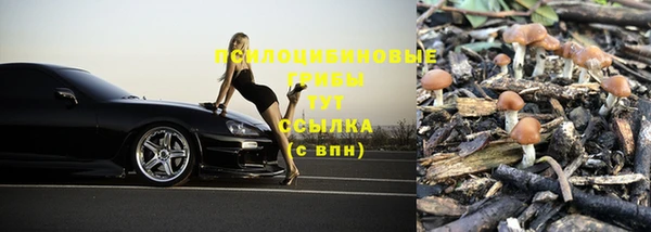 Альфа ПВП Абинск