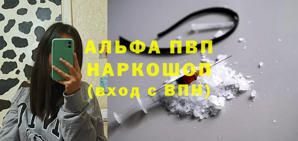 прущий лед Алзамай
