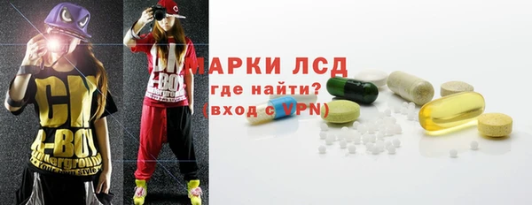прущий лед Алзамай