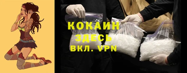 дживик Саяногорск