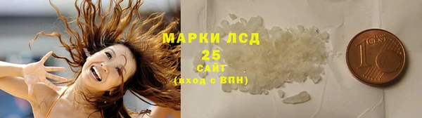 прущий лед Алзамай