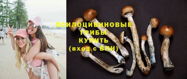 прущий лед Алзамай